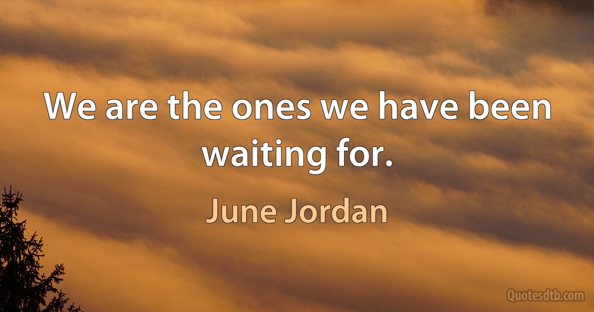 We are the ones we have been waiting for. (June Jordan)