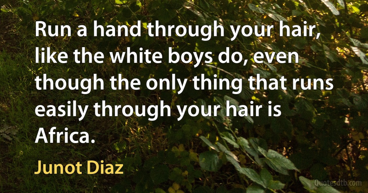 Run a hand through your hair, like the white boys do, even though the only thing that runs easily through your hair is Africa. (Junot Diaz)