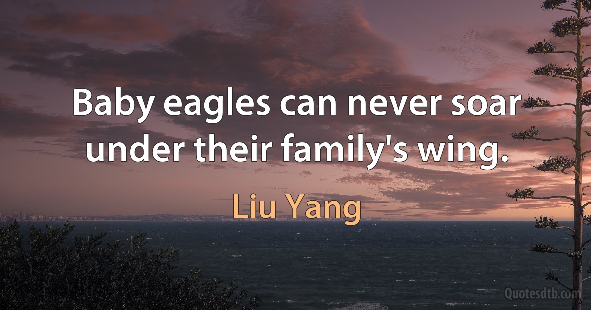 Baby eagles can never soar under their family's wing. (Liu Yang)