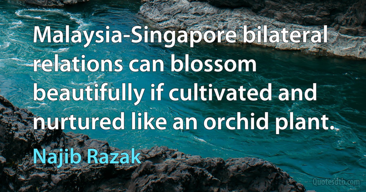 Malaysia-Singapore bilateral relations can blossom beautifully if cultivated and nurtured like an orchid plant. (Najib Razak)