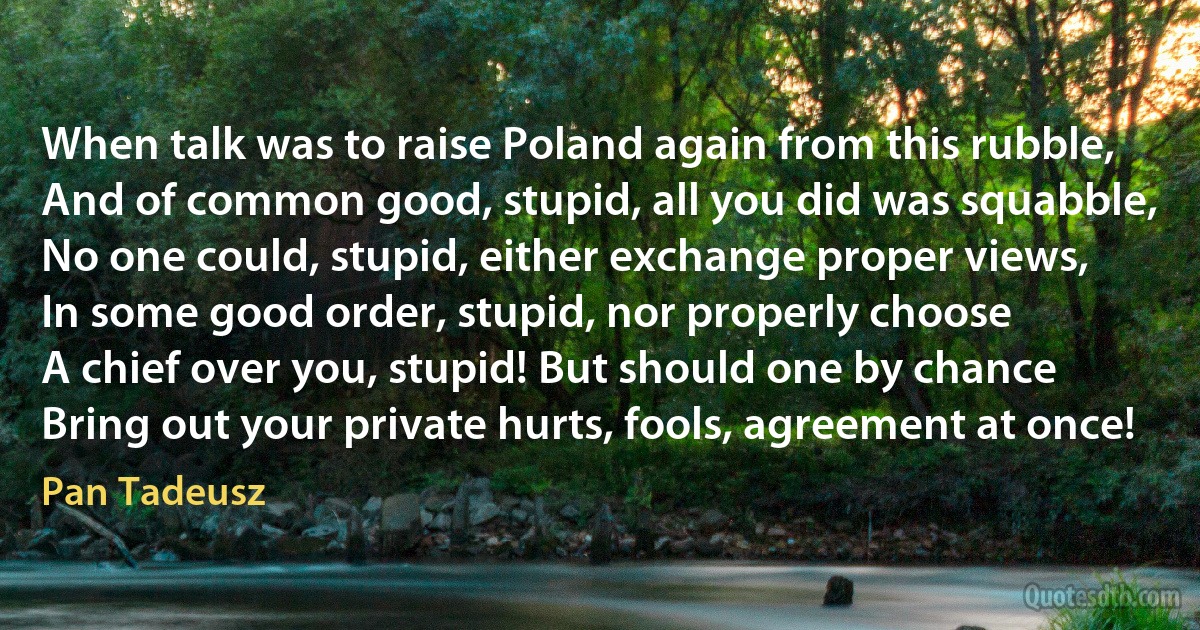 When talk was to raise Poland again from this rubble,
And of common good, stupid, all you did was squabble,
No one could, stupid, either exchange proper views,
In some good order, stupid, nor properly choose
A chief over you, stupid! But should one by chance
Bring out your private hurts, fools, agreement at once! (Pan Tadeusz)