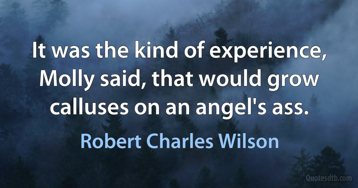 It was the kind of experience, Molly said, that would grow calluses on an angel's ass. (Robert Charles Wilson)