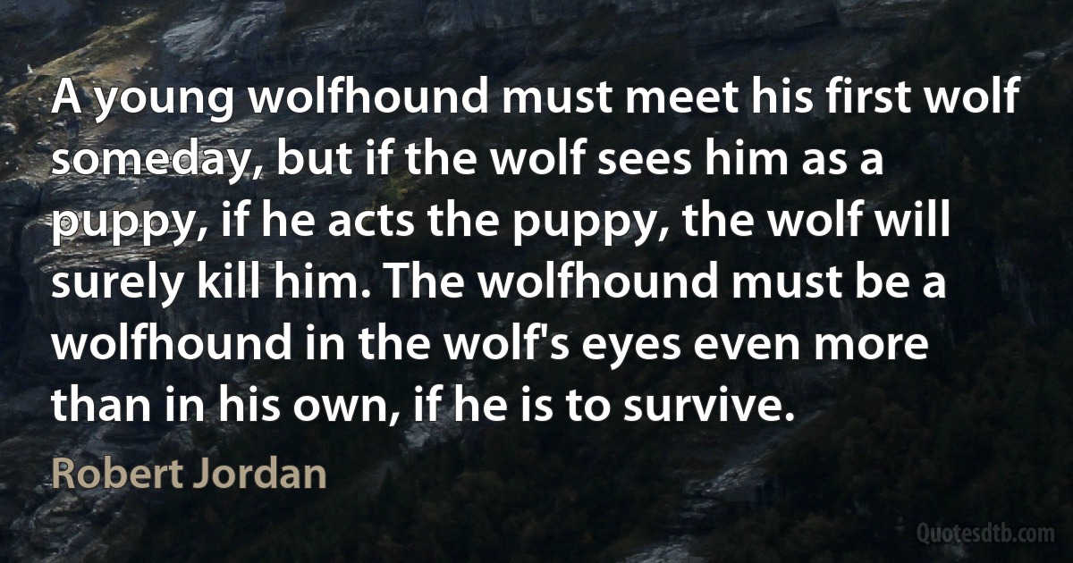 A young wolfhound must meet his first wolf someday, but if the wolf sees him as a puppy, if he acts the puppy, the wolf will surely kill him. The wolfhound must be a wolfhound in the wolf's eyes even more than in his own, if he is to survive. (Robert Jordan)