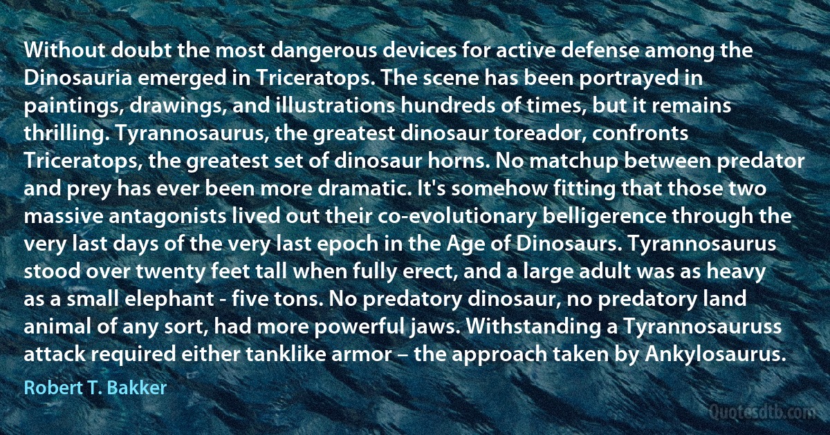 Without doubt the most dangerous devices for active defense among the Dinosauria emerged in Triceratops. The scene has been portrayed in paintings, drawings, and illustrations hundreds of times, but it remains thrilling. Tyrannosaurus, the greatest dinosaur toreador, confronts Triceratops, the greatest set of dinosaur horns. No matchup between predator and prey has ever been more dramatic. It's somehow fitting that those two massive antagonists lived out their co-evolutionary belligerence through the very last days of the very last epoch in the Age of Dinosaurs. Tyrannosaurus stood over twenty feet tall when fully erect, and a large adult was as heavy as a small elephant - five tons. No predatory dinosaur, no predatory land animal of any sort, had more powerful jaws. Withstanding a Tyrannosauruss attack required either tanklike armor – the approach taken by Ankylosaurus. (Robert T. Bakker)