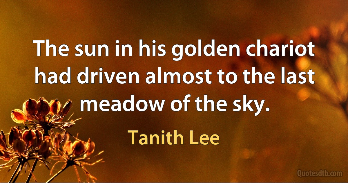 The sun in his golden chariot had driven almost to the last meadow of the sky. (Tanith Lee)