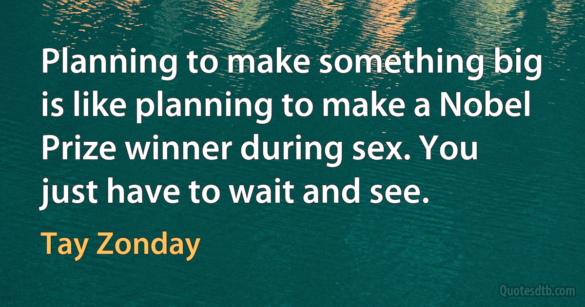 Planning to make something big is like planning to make a Nobel Prize winner during sex. You just have to wait and see. (Tay Zonday)