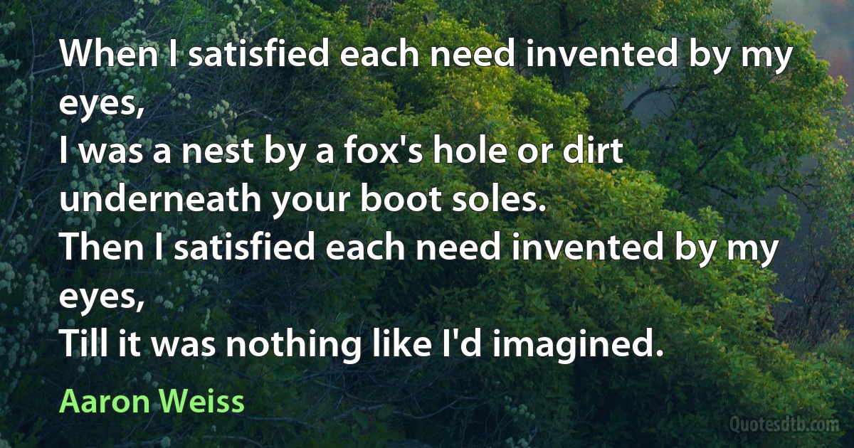 When I satisfied each need invented by my eyes,
I was a nest by a fox's hole or dirt underneath your boot soles.
Then I satisfied each need invented by my eyes,
Till it was nothing like I'd imagined. (Aaron Weiss)