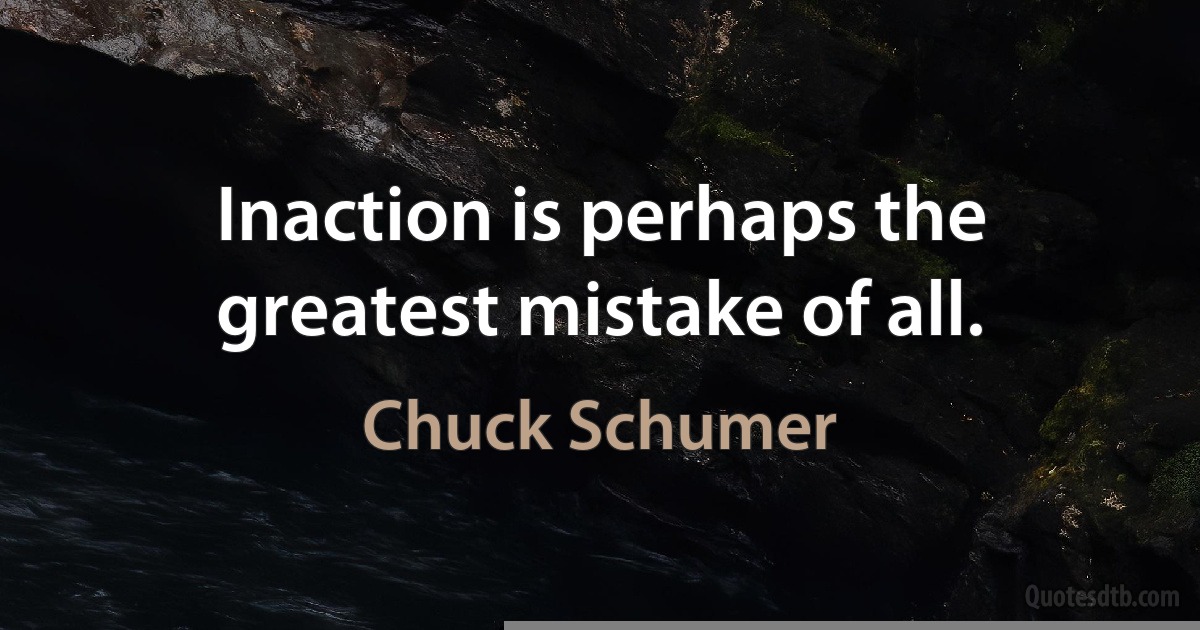 Inaction is perhaps the greatest mistake of all. (Chuck Schumer)