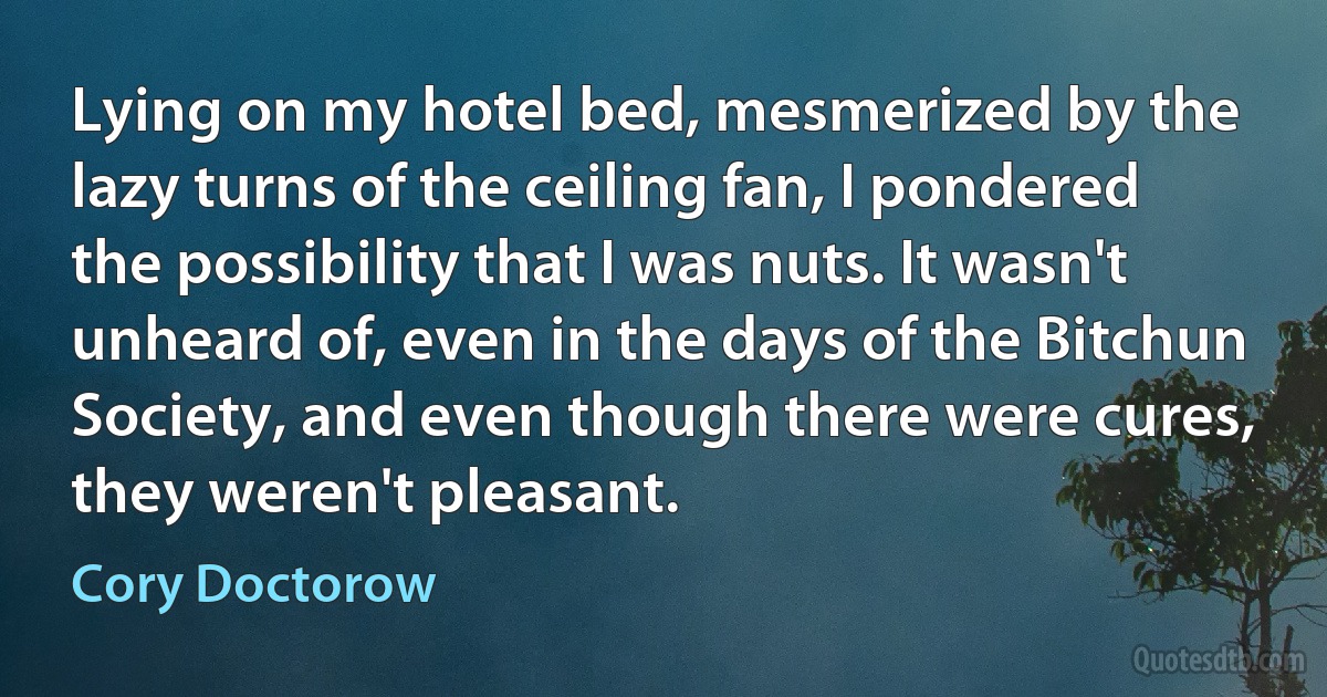 Lying on my hotel bed, mesmerized by the lazy turns of the ceiling fan, I pondered the possibility that I was nuts. It wasn't unheard of, even in the days of the Bitchun Society, and even though there were cures, they weren't pleasant. (Cory Doctorow)