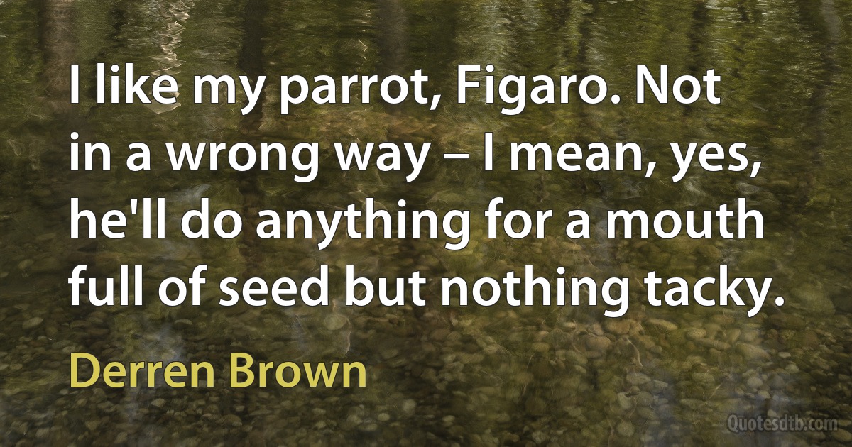 I like my parrot, Figaro. Not in a wrong way – I mean, yes, he'll do anything for a mouth full of seed but nothing tacky. (Derren Brown)