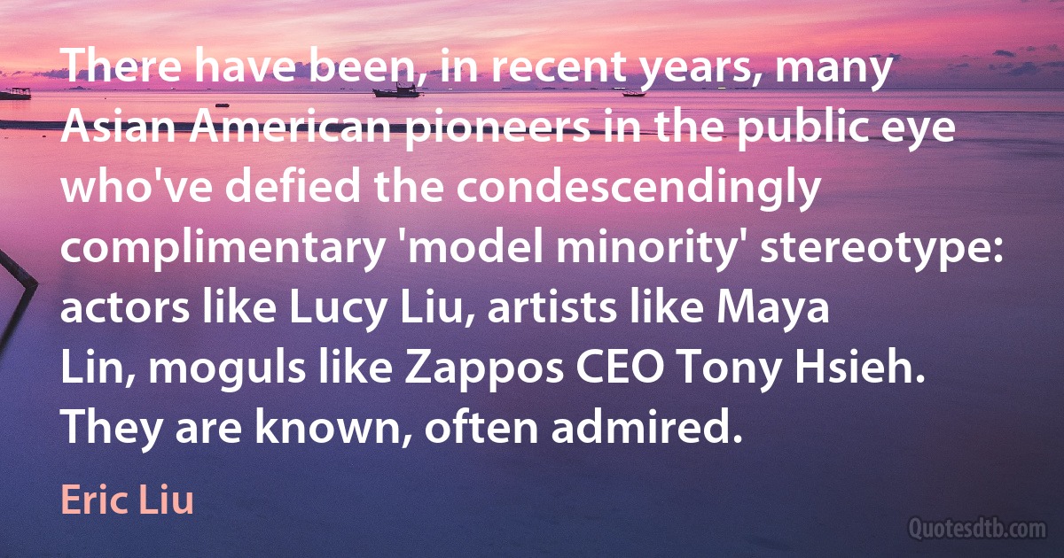 There have been, in recent years, many Asian American pioneers in the public eye who've defied the condescendingly complimentary 'model minority' stereotype: actors like Lucy Liu, artists like Maya Lin, moguls like Zappos CEO Tony Hsieh. They are known, often admired. (Eric Liu)