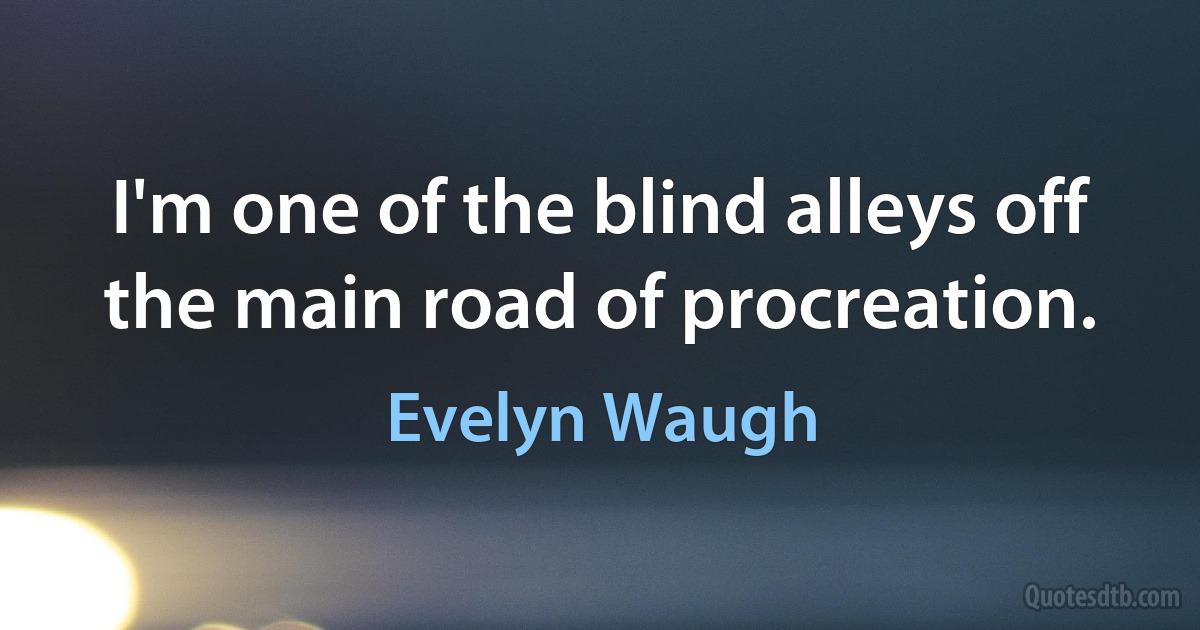 I'm one of the blind alleys off the main road of procreation. (Evelyn Waugh)