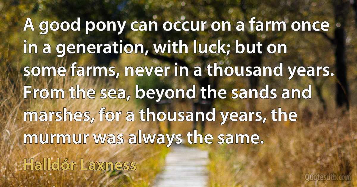 A good pony can occur on a farm once in a generation, with luck; but on some farms, never in a thousand years. From the sea, beyond the sands and marshes, for a thousand years, the murmur was always the same. (Halldór Laxness)