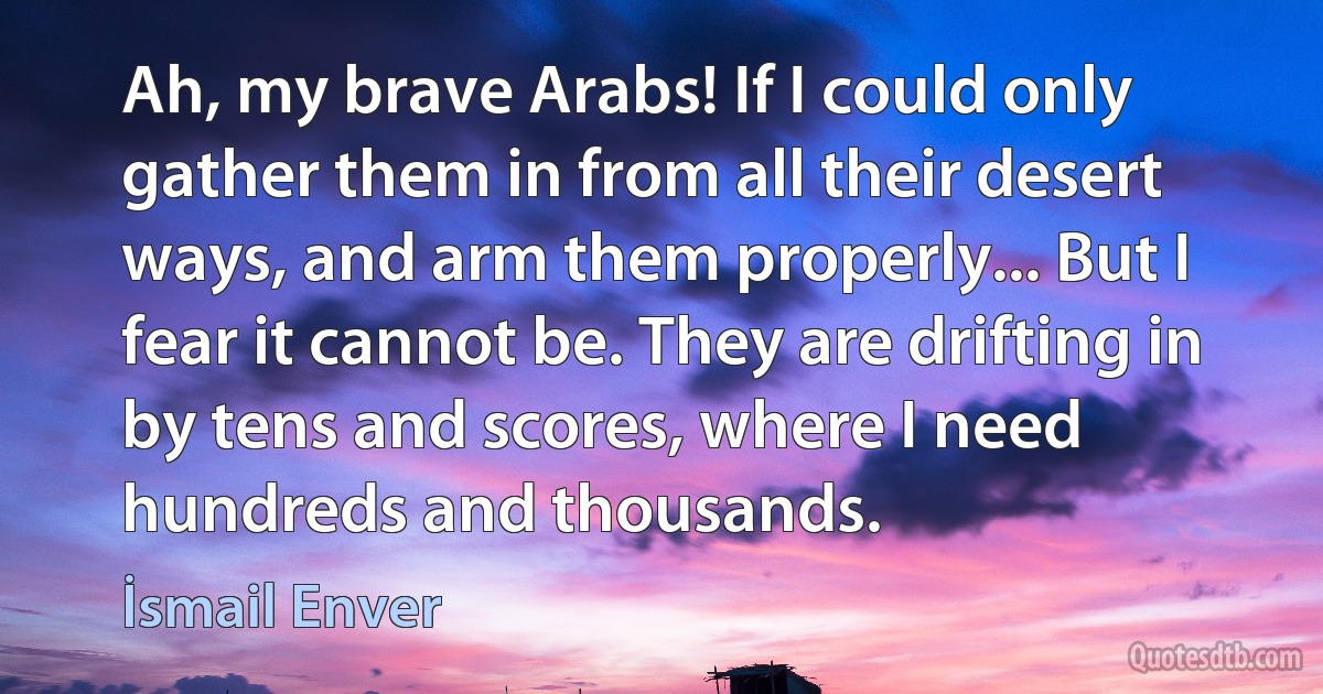 Ah, my brave Arabs! If I could only gather them in from all their desert ways, and arm them properly... But I fear it cannot be. They are drifting in by tens and scores, where I need hundreds and thousands. (İsmail Enver)