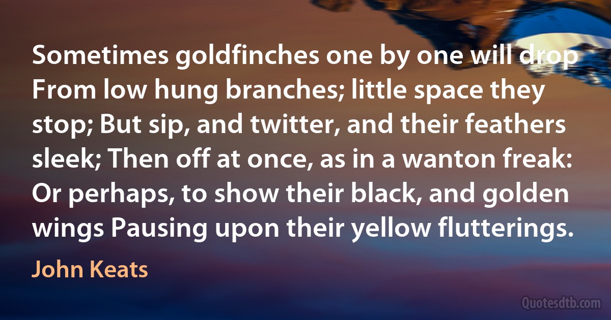 Sometimes goldfinches one by one will drop From low hung branches; little space they stop; But sip, and twitter, and their feathers sleek; Then off at once, as in a wanton freak: Or perhaps, to show their black, and golden wings Pausing upon their yellow flutterings. (John Keats)