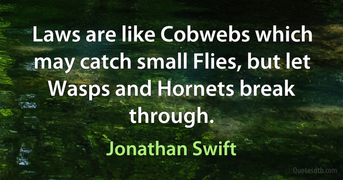 Laws are like Cobwebs which may catch small Flies, but let Wasps and Hornets break through. (Jonathan Swift)