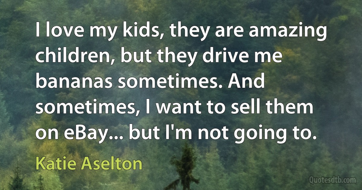 I love my kids, they are amazing children, but they drive me bananas sometimes. And sometimes, I want to sell them on eBay... but I'm not going to. (Katie Aselton)