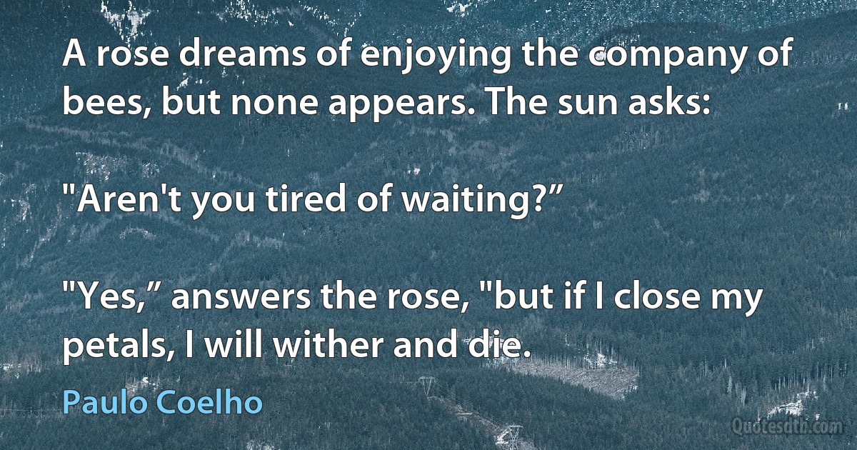 A rose dreams of enjoying the company of bees, but none appears. The sun asks:

"Aren't you tired of waiting?”

"Yes,” answers the rose, "but if I close my petals, I will wither and die. (Paulo Coelho)