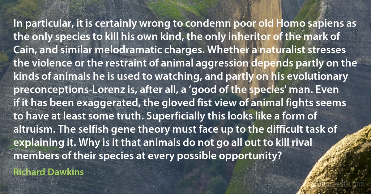 In particular, it is certainly wrong to condemn poor old Homo sapiens as the only species to kill his own kind, the only inheritor of the mark of Cain, and similar melodramatic charges. Whether a naturalist stresses the violence or the restraint of animal aggression depends partly on the kinds of animals he is used to watching, and partly on his evolutionary preconceptions-Lorenz is, after all, a ‘good of the species' man. Even if it has been exaggerated, the gloved fist view of animal fights seems to have at least some truth. Superficially this looks like a form of altruism. The selfish gene theory must face up to the difficult task of explaining it. Why is it that animals do not go all out to kill rival members of their species at every possible opportunity? (Richard Dawkins)