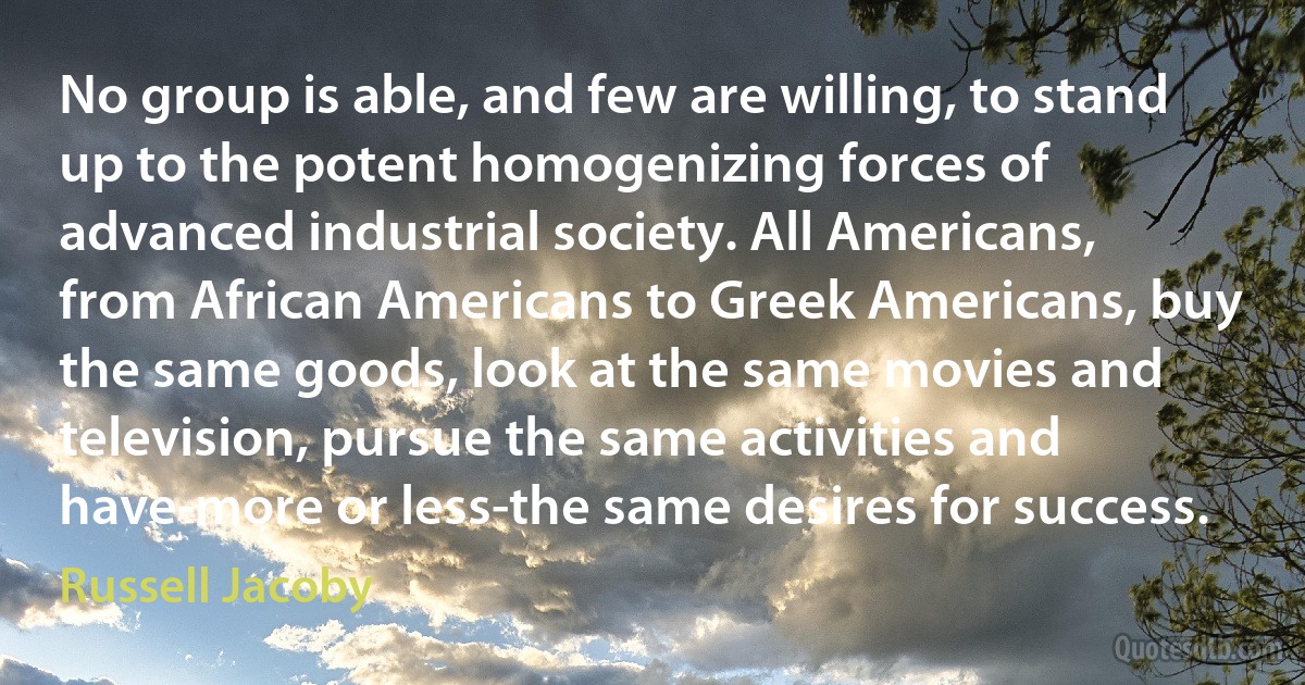 No group is able, and few are willing, to stand up to the potent homogenizing forces of advanced industrial society. All Americans, from African Americans to Greek Americans, buy the same goods, look at the same movies and television, pursue the same activities and have-more or less-the same desires for success. (Russell Jacoby)