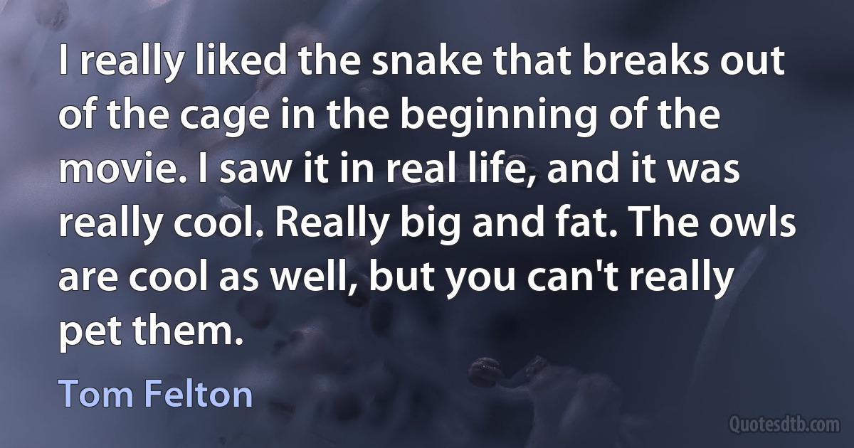 I really liked the snake that breaks out of the cage in the beginning of the movie. I saw it in real life, and it was really cool. Really big and fat. The owls are cool as well, but you can't really pet them. (Tom Felton)