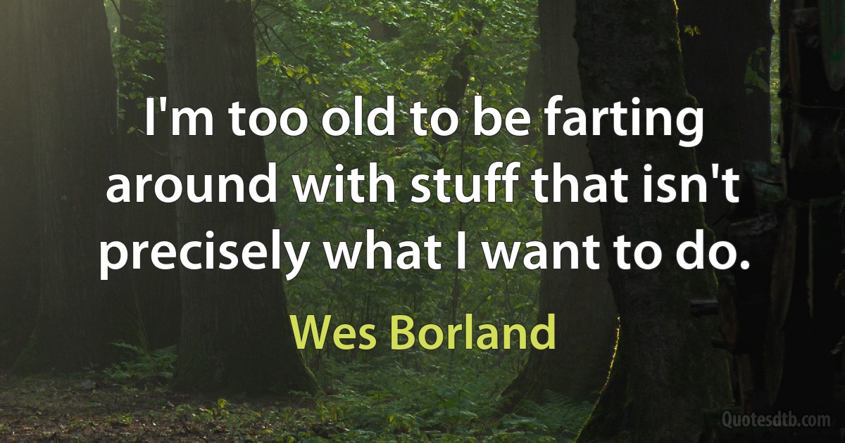 I'm too old to be farting around with stuff that isn't precisely what I want to do. (Wes Borland)