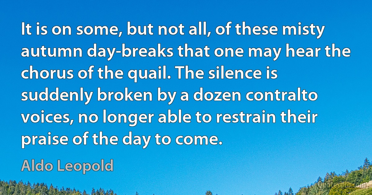 It is on some, but not all, of these misty autumn day-breaks that one may hear the chorus of the quail. The silence is suddenly broken by a dozen contralto voices, no longer able to restrain their praise of the day to come. (Aldo Leopold)