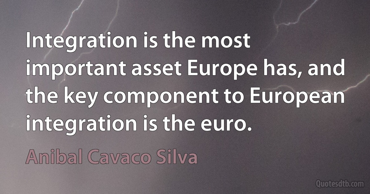 Integration is the most important asset Europe has, and the key component to European integration is the euro. (Anibal Cavaco Silva)