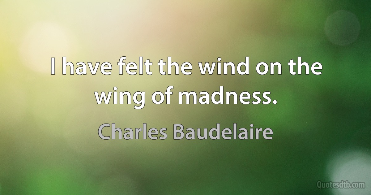 I have felt the wind on the wing of madness. (Charles Baudelaire)