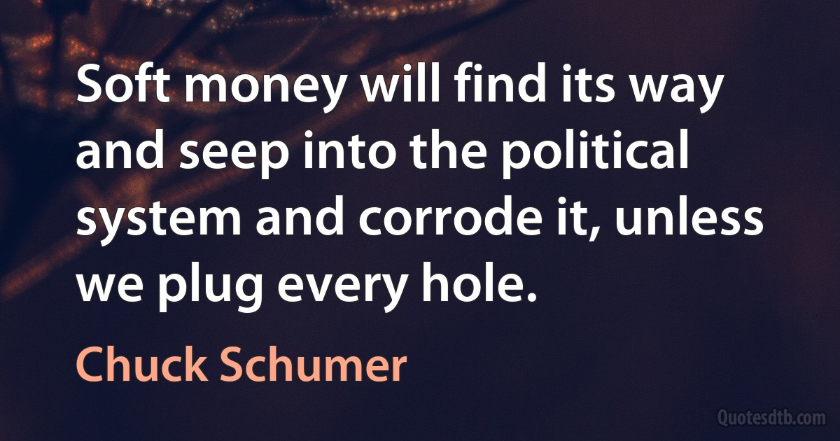 Soft money will find its way and seep into the political system and corrode it, unless we plug every hole. (Chuck Schumer)