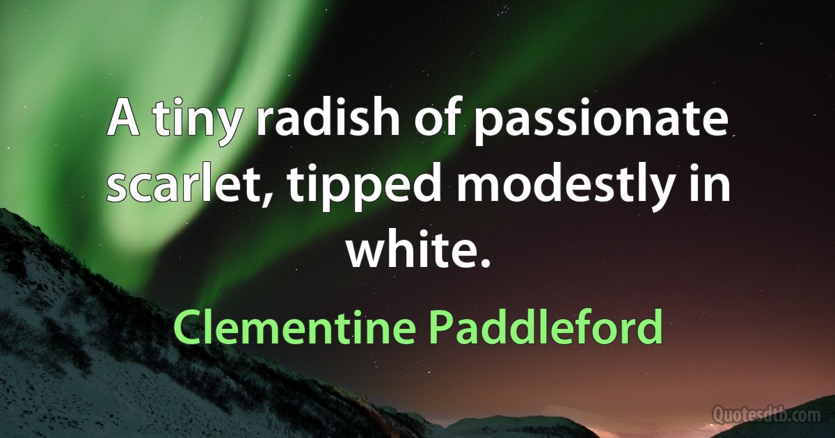 A tiny radish of passionate scarlet, tipped modestly in white. (Clementine Paddleford)