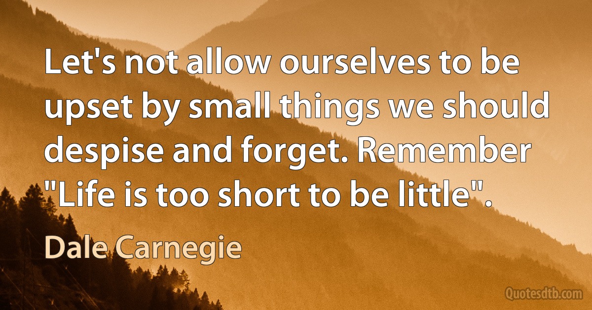 Let's not allow ourselves to be upset by small things we should despise and forget. Remember "Life is too short to be little". (Dale Carnegie)