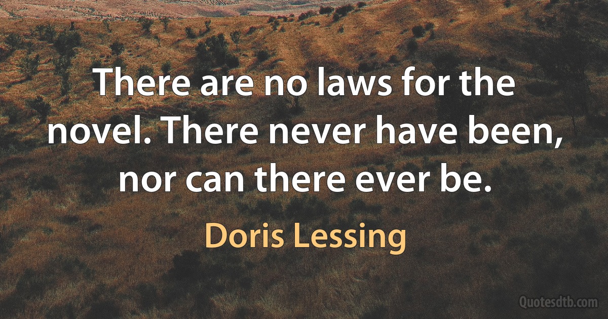 There are no laws for the novel. There never have been, nor can there ever be. (Doris Lessing)