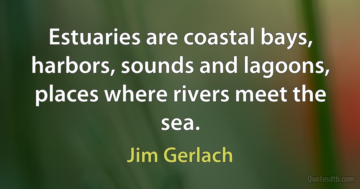 Estuaries are coastal bays, harbors, sounds and lagoons, places where rivers meet the sea. (Jim Gerlach)