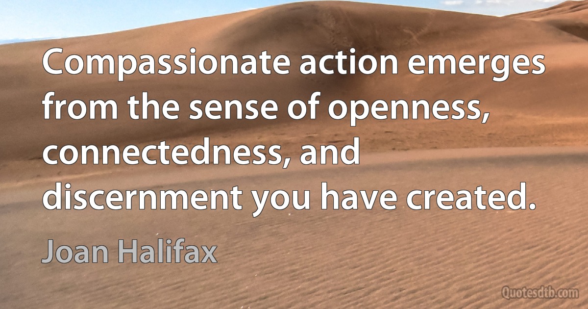 Compassionate action emerges from the sense of openness, connectedness, and discernment you have created. (Joan Halifax)