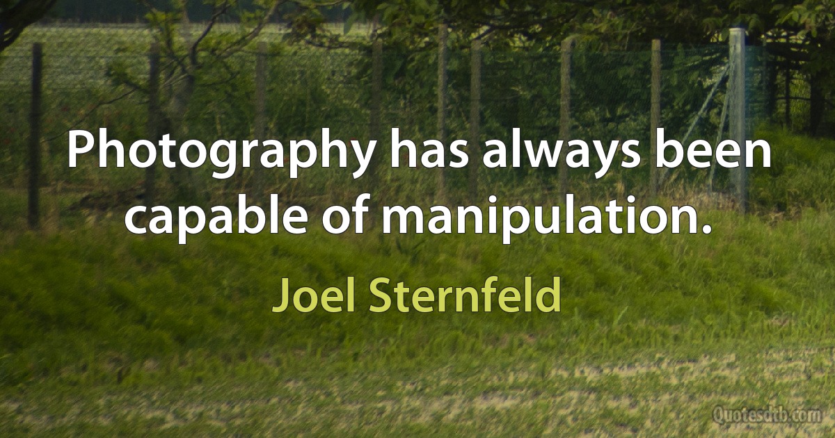 Photography has always been capable of manipulation. (Joel Sternfeld)