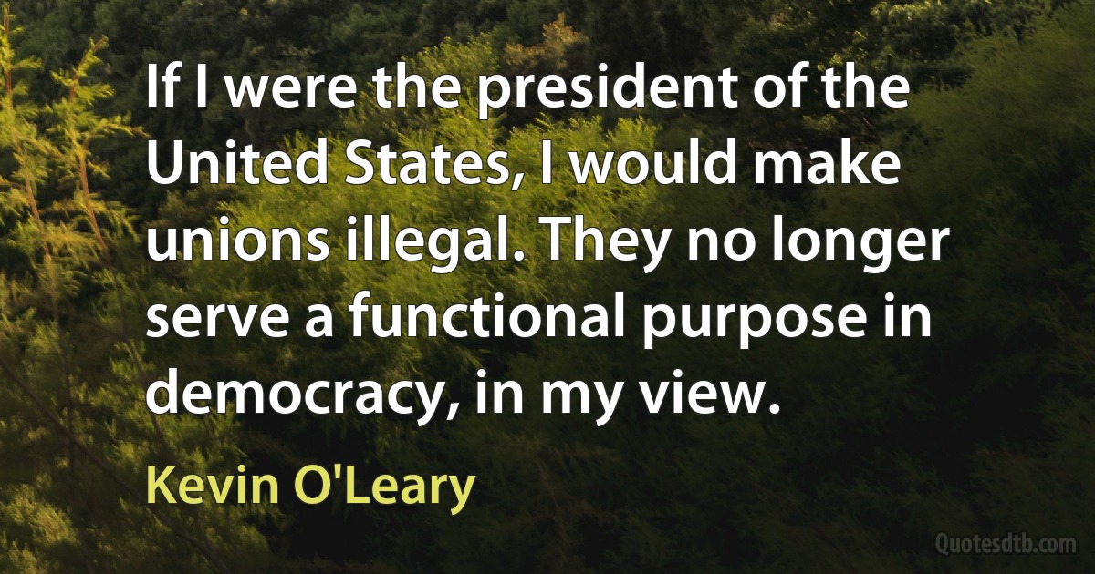 If I were the president of the United States, I would make unions illegal. They no longer serve a functional purpose in democracy, in my view. (Kevin O'Leary)