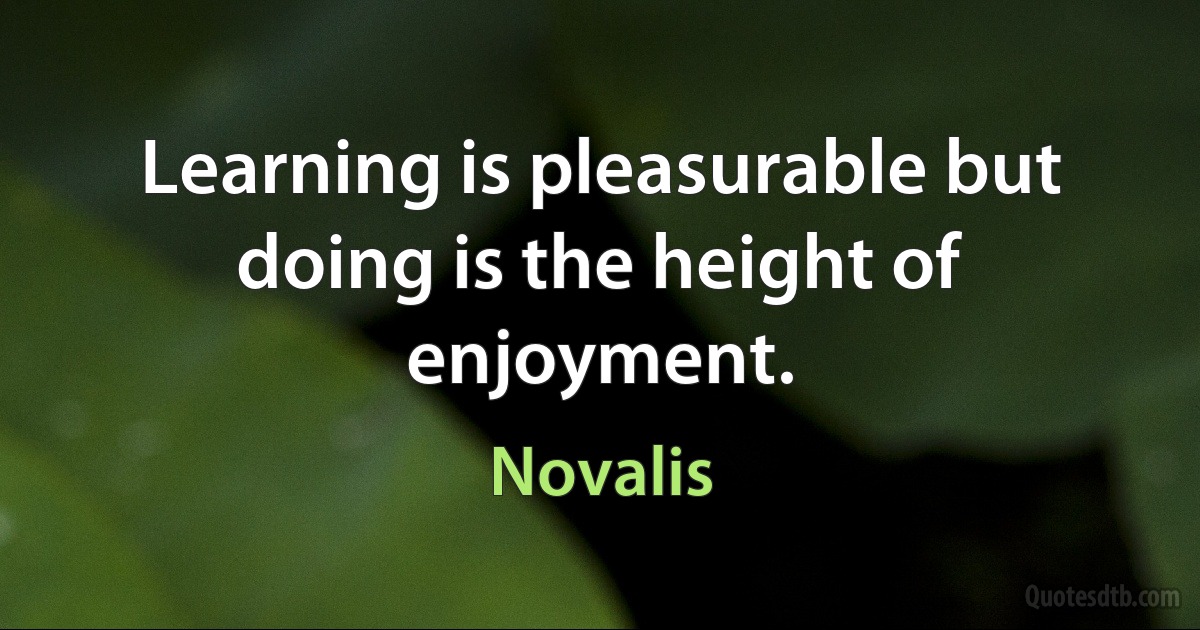 Learning is pleasurable but doing is the height of enjoyment. (Novalis)