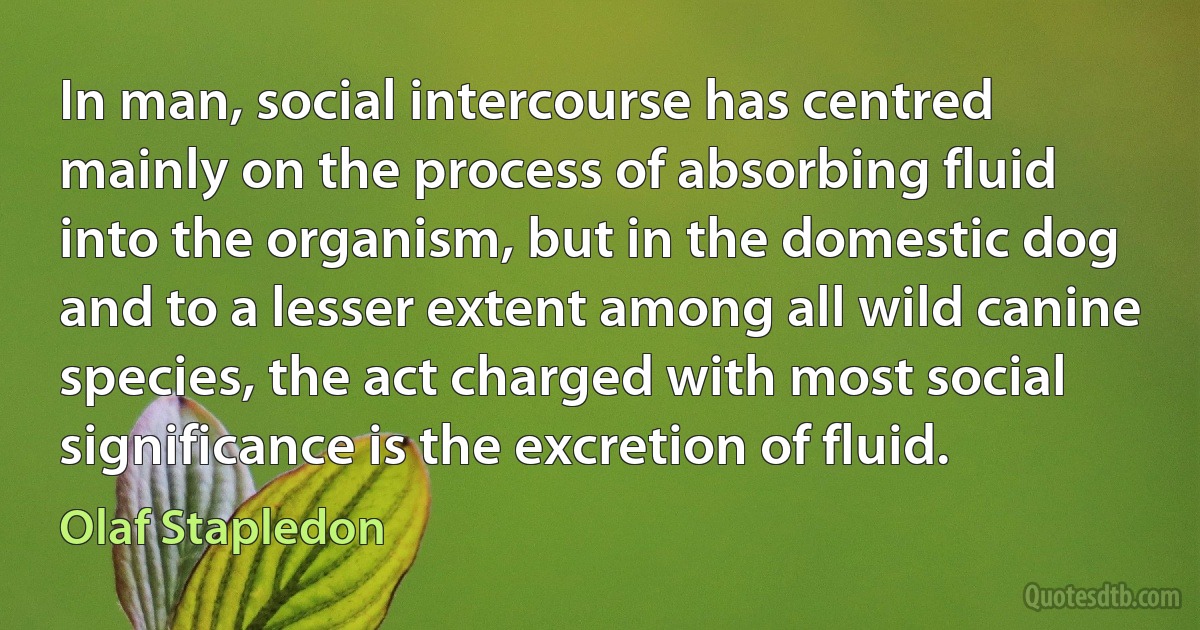 In man, social intercourse has centred mainly on the process of absorbing fluid into the organism, but in the domestic dog and to a lesser extent among all wild canine species, the act charged with most social significance is the excretion of fluid. (Olaf Stapledon)