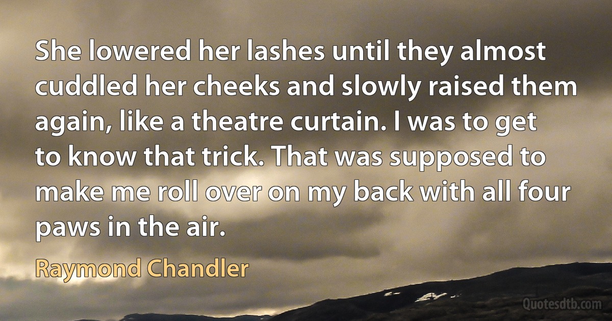 She lowered her lashes until they almost cuddled her cheeks and slowly raised them again, like a theatre curtain. I was to get to know that trick. That was supposed to make me roll over on my back with all four paws in the air. (Raymond Chandler)