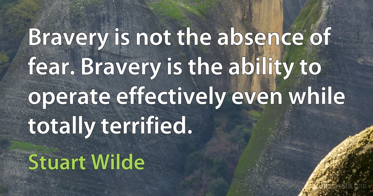 Bravery is not the absence of fear. Bravery is the ability to operate effectively even while totally terrified. (Stuart Wilde)