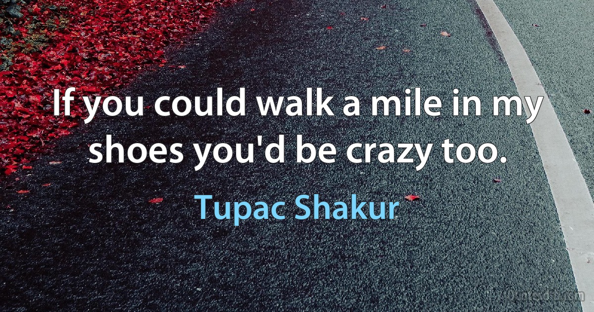 If you could walk a mile in my shoes you'd be crazy too. (Tupac Shakur)