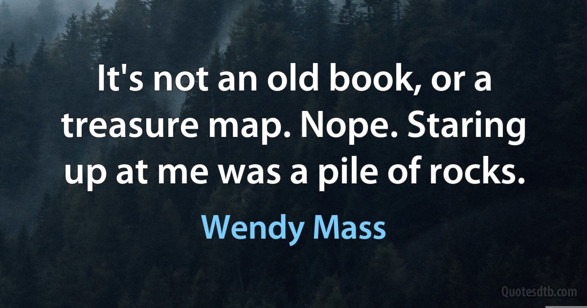 It's not an old book, or a treasure map. Nope. Staring up at me was a pile of rocks. (Wendy Mass)