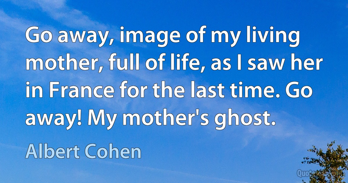 Go away, image of my living mother, full of life, as I saw her in France for the last time. Go away! My mother's ghost. (Albert Cohen)