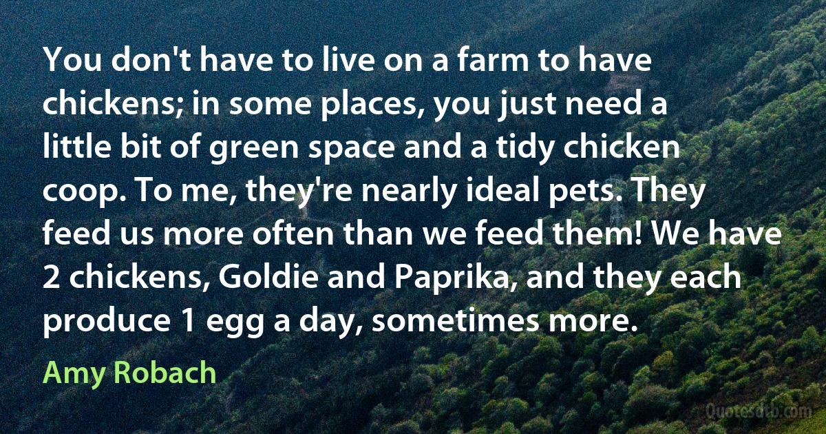 You don't have to live on a farm to have chickens; in some places, you just need a little bit of green space and a tidy chicken coop. To me, they're nearly ideal pets. They feed us more often than we feed them! We have 2 chickens, Goldie and Paprika, and they each produce 1 egg a day, sometimes more. (Amy Robach)