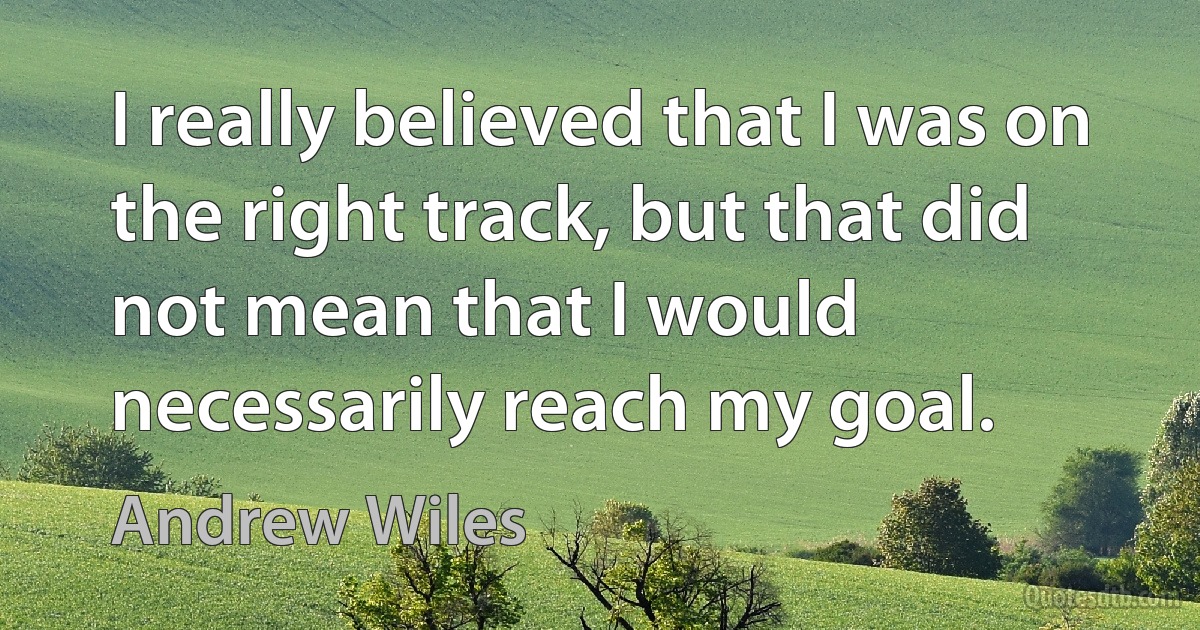 I really believed that I was on the right track, but that did not mean that I would necessarily reach my goal. (Andrew Wiles)