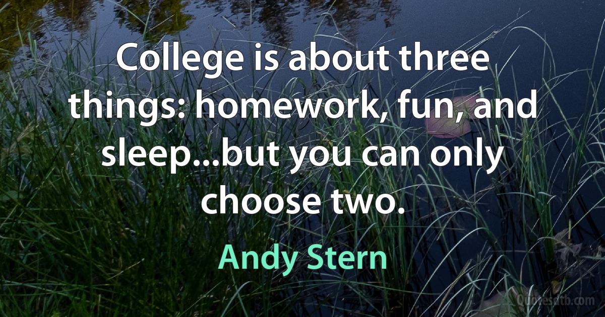 College is about three things: homework, fun, and sleep...but you can only choose two. (Andy Stern)