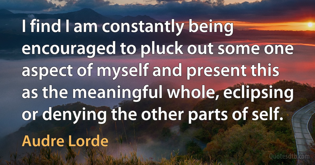 I find I am constantly being encouraged to pluck out some one aspect of myself and present this as the meaningful whole, eclipsing or denying the other parts of self. (Audre Lorde)