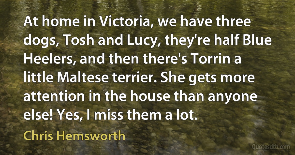 At home in Victoria, we have three dogs, Tosh and Lucy, they're half Blue Heelers, and then there's Torrin a little Maltese terrier. She gets more attention in the house than anyone else! Yes, I miss them a lot. (Chris Hemsworth)