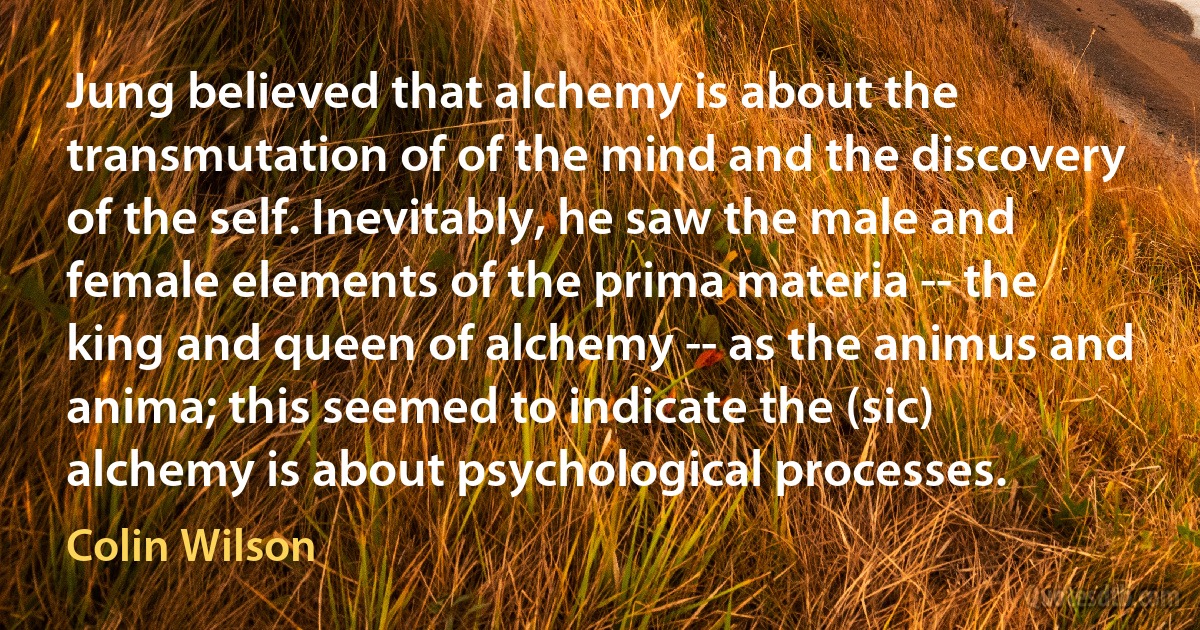 Jung believed that alchemy is about the transmutation of of the mind and the discovery of the self. Inevitably, he saw the male and female elements of the prima materia -- the king and queen of alchemy -- as the animus and anima; this seemed to indicate the (sic) alchemy is about psychological processes. (Colin Wilson)